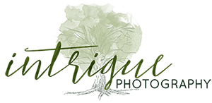 Intrigue Photography Logo for Footer